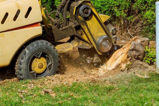 Lawn Grading and Leveling in Warroad, MN